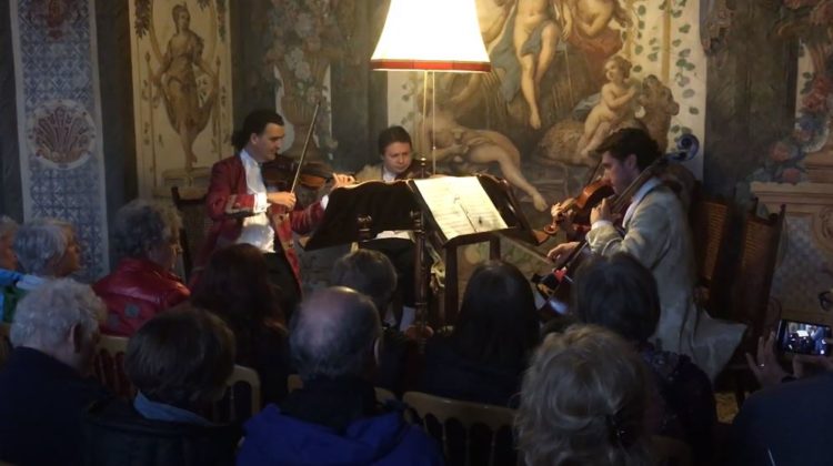 visitar mozarthaus en viena